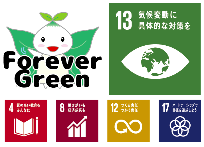 FG SDGs logo